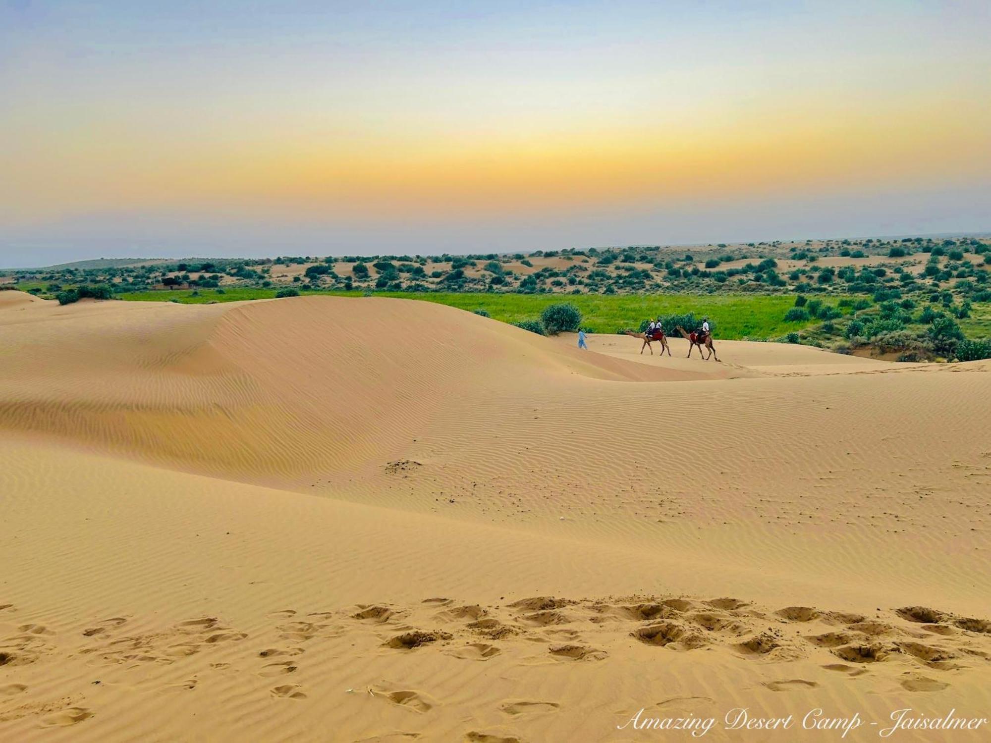 Amazing Desert Camp ジャイサルメール エクステリア 写真